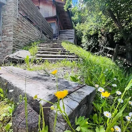 Le Des Grabilles Chalet Praz-sur-Arly