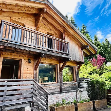 Le Des Grabilles Chalet Praz-sur-Arly