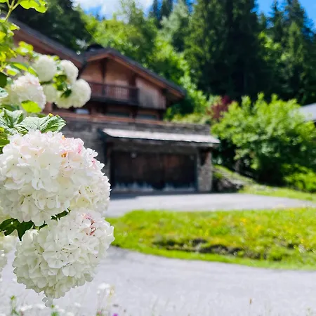 Le Des Grabilles Chalet