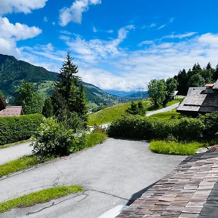 Le Des Grabilles Praz-sur-Arly